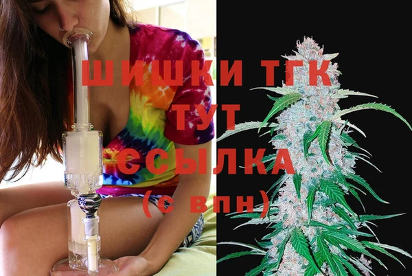 тгк Осташков