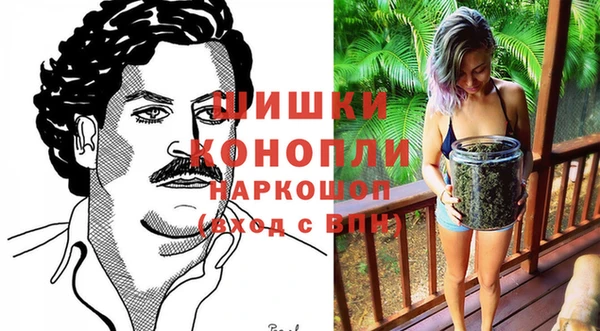 ECSTASY Осинники