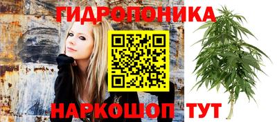 apvp Азнакаево