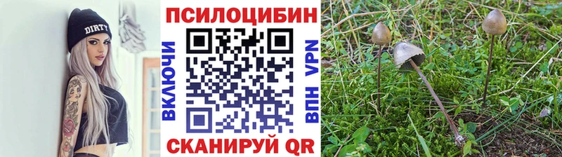 Галлюциногенные грибы прущие грибы shop формула Алушта закладка