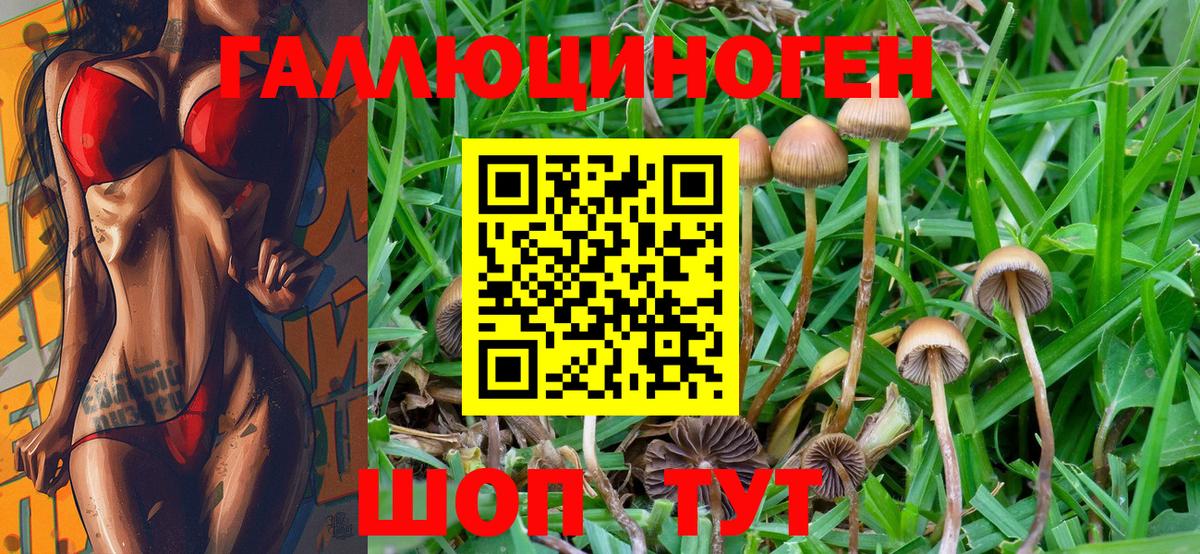 Галлюциногенные грибы Cubensis  Галлюциногенные грибы прущие грибы  Алушта 