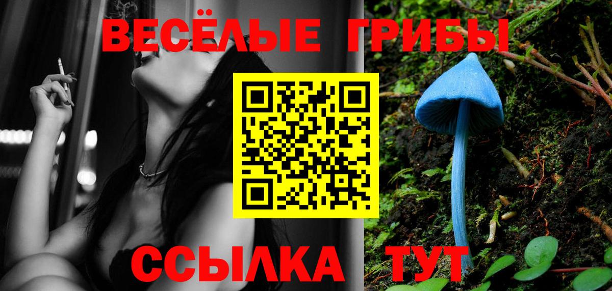 Псилоцибиновые грибы мухоморы  Вход с VPN  Алушта 