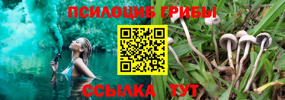 Псилоцибиновые грибы Psilocybe Алушта